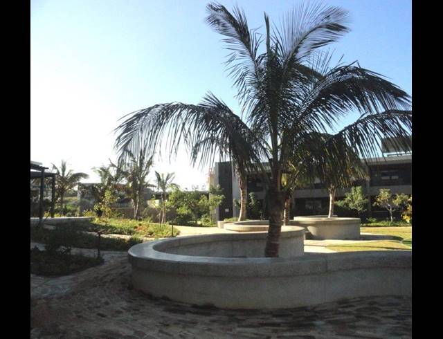 2 BEDROOM APARTMENT RENTED IN SIBAYA PRECINCT